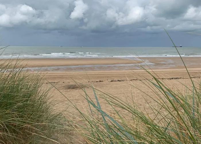 La Petite Ferienhaus *